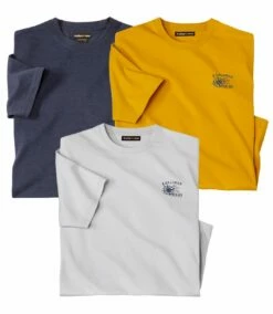 3er-Pack Pflegeleichte T-Shirts -ATLAS FOR MEN Verkäufe 2c0feb08ff7008a4e4c92eec4c07acd8